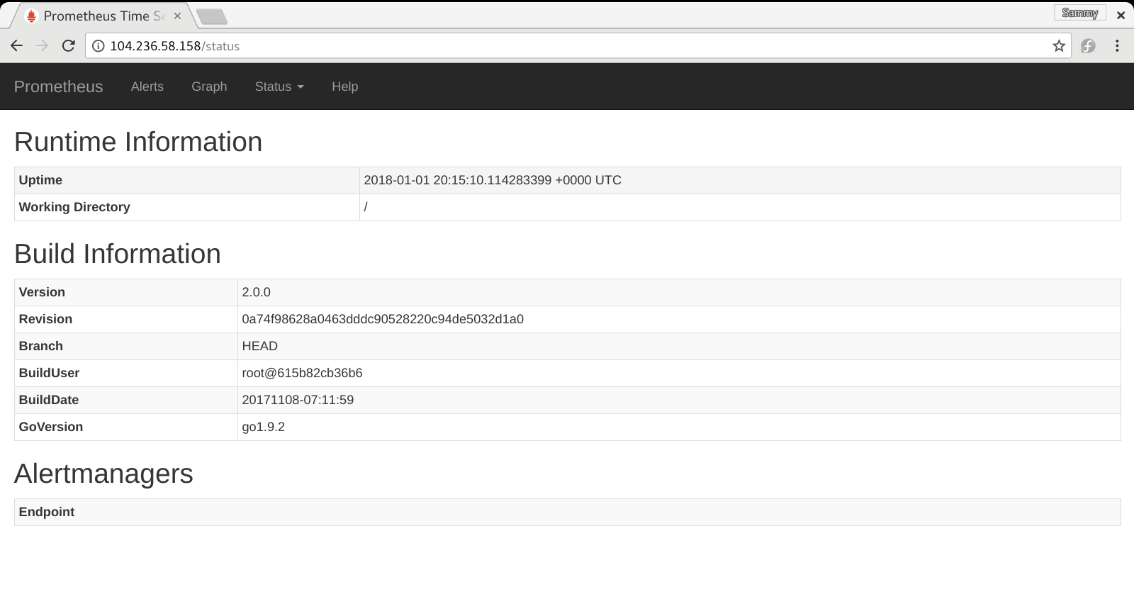 Prometheus Runtime Information