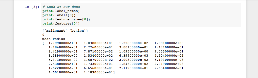 带有三个 Python 单元的 Alt Jupyter Notebook，打印数据集中的第一个实例