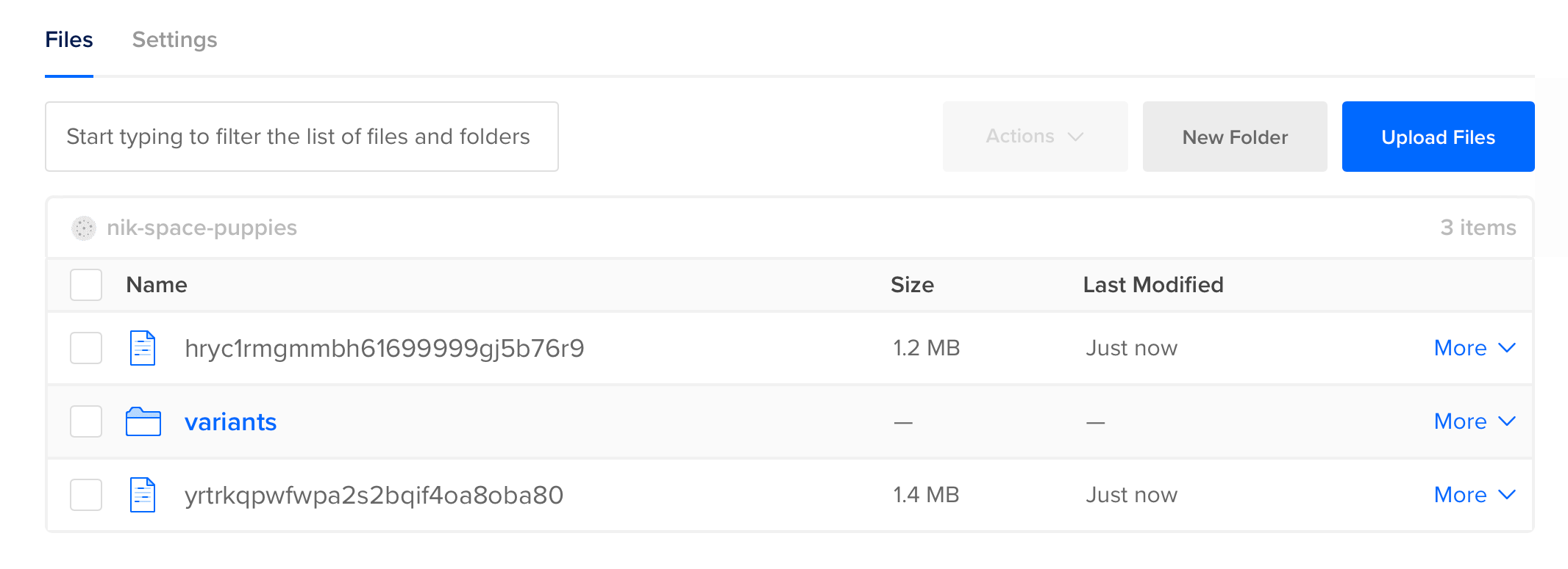 files uploaded to a Space