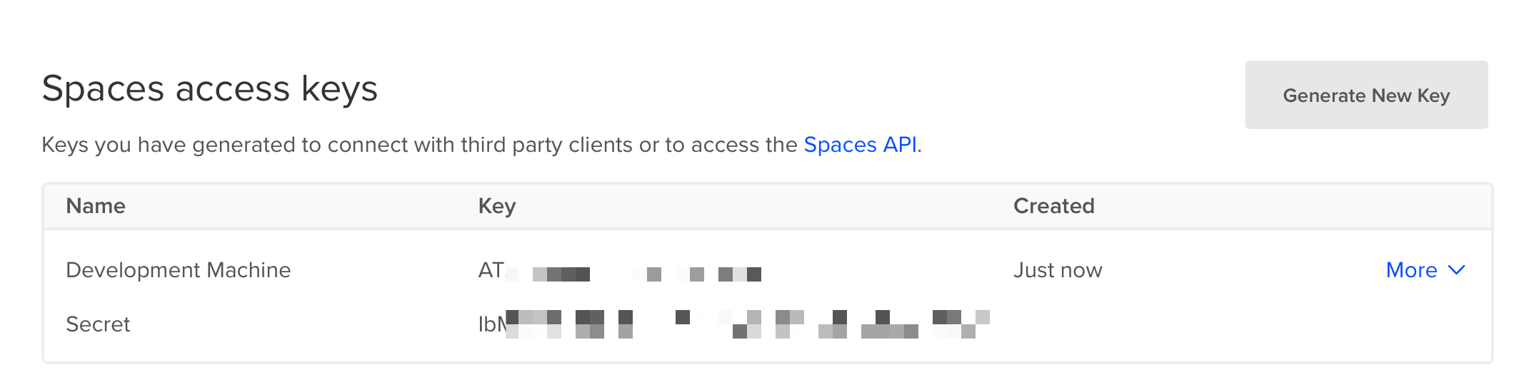 A screenshot showing a Spaces access key