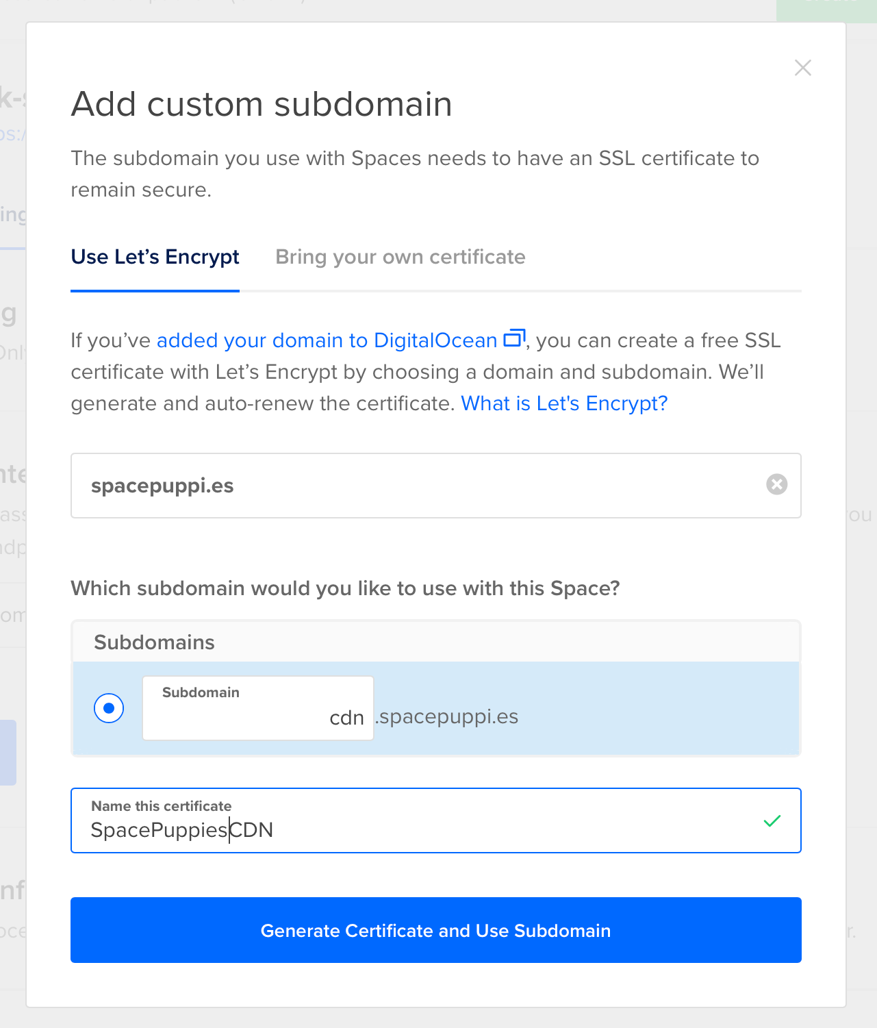 The filled-in Add Custom Subdomain form
