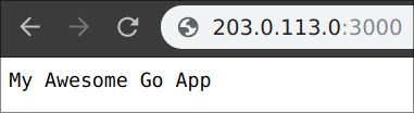 Your containerized Go App