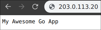 Your working Go App!