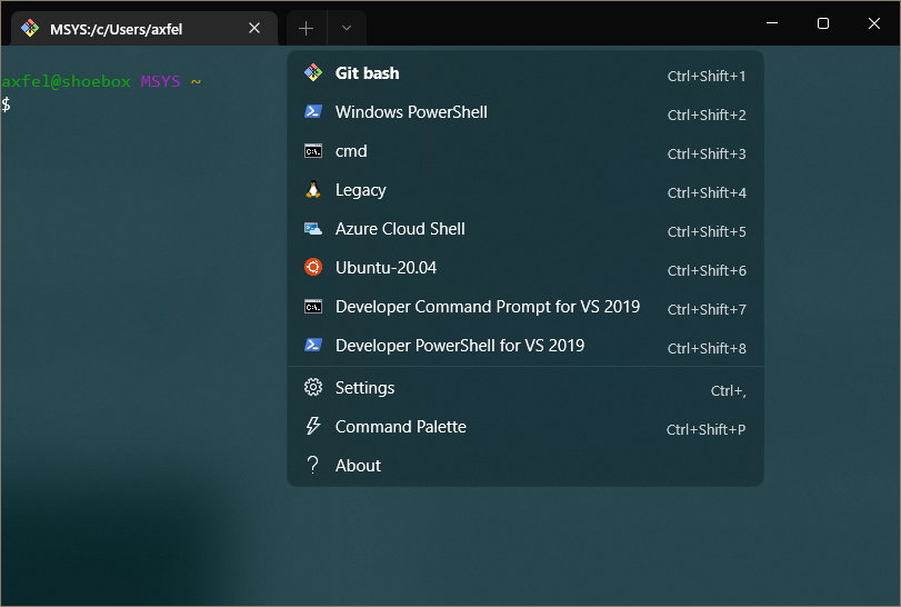Windows Terminal displaying many shell options