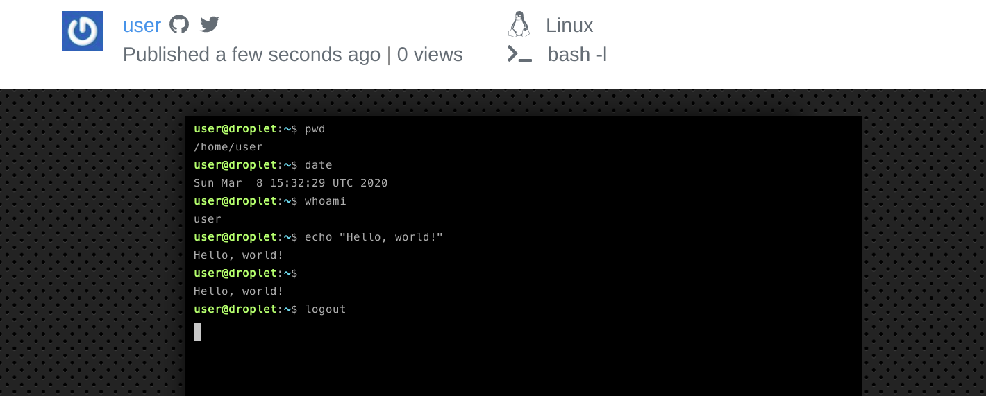 A screenshot of the Terminalizer website, showing an example of a shared terminal recording