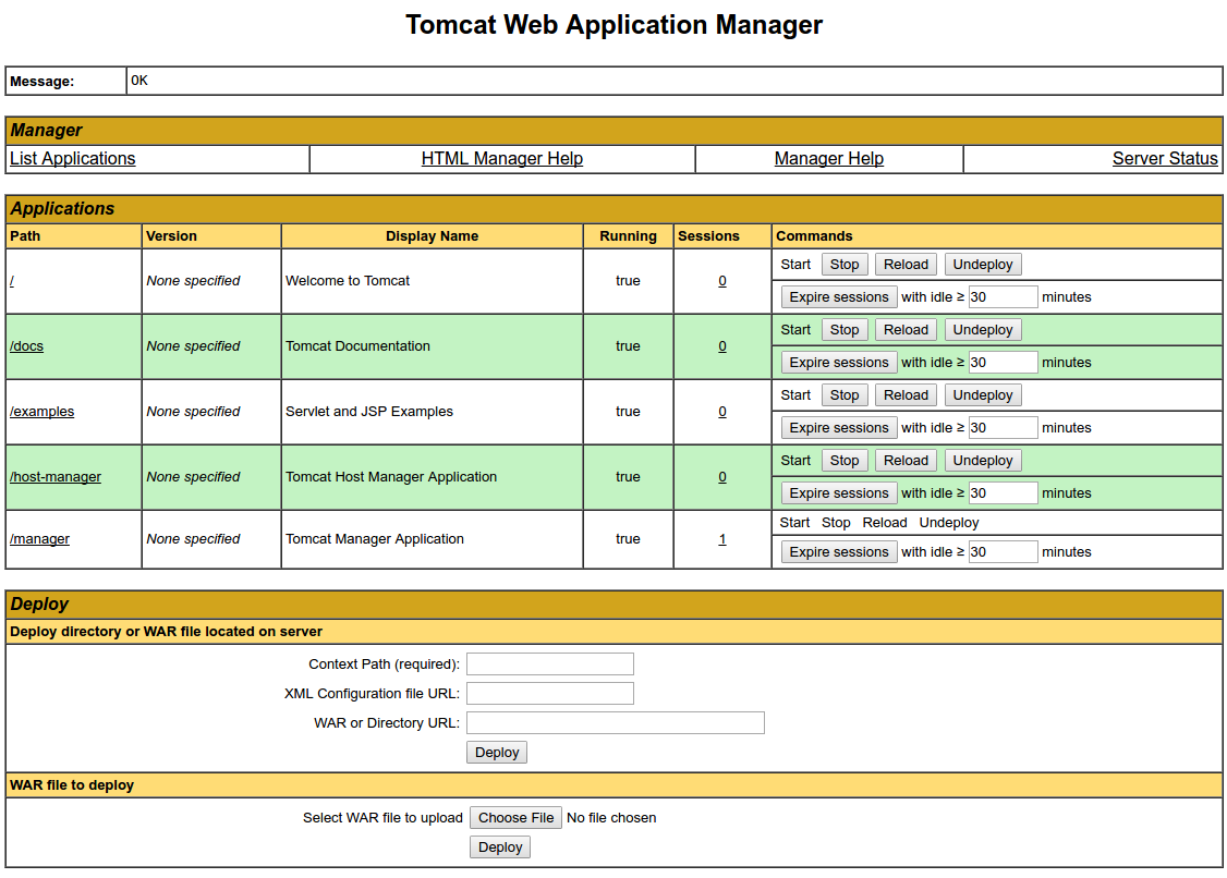 Tomcat Web Application Manager