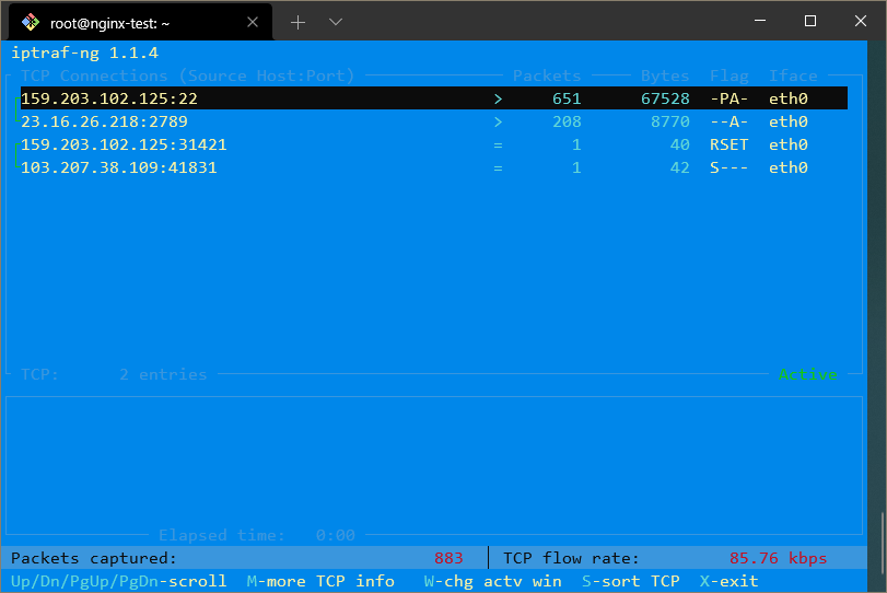 iptraf-ng Traffic View