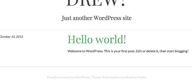 WordPress new theme