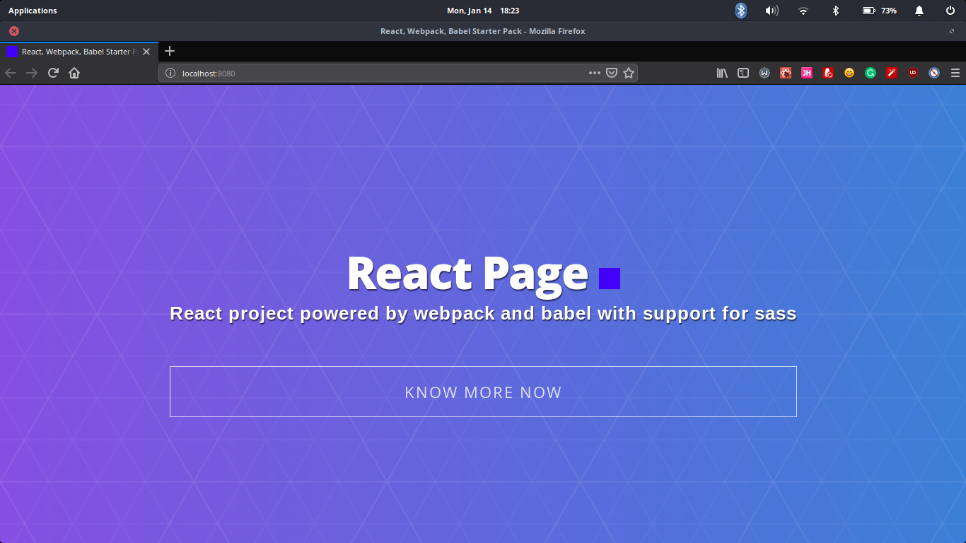 React project in the browser