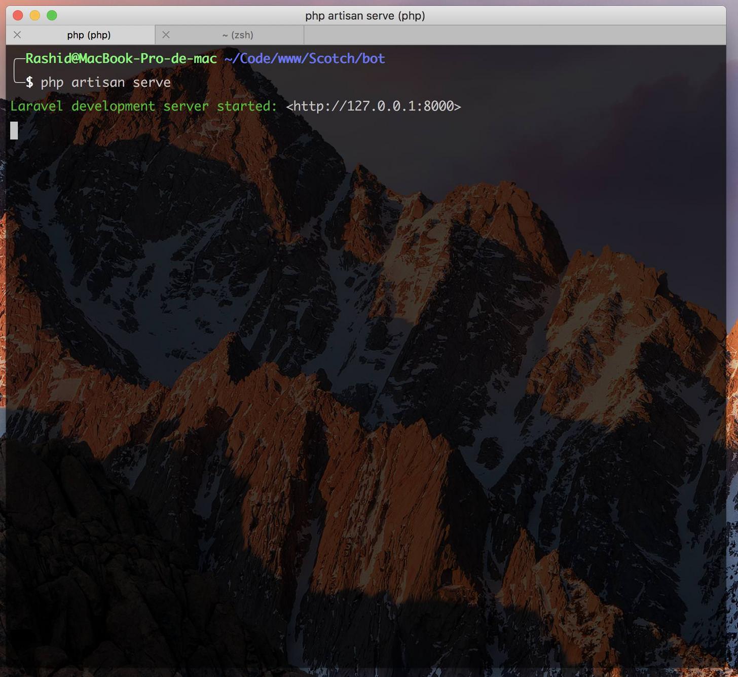 php artisan serve