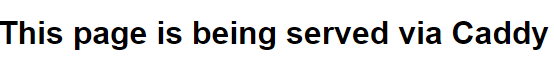 "This page is being served via Caddy" message that displays when visiting your server's IP in a web browser
