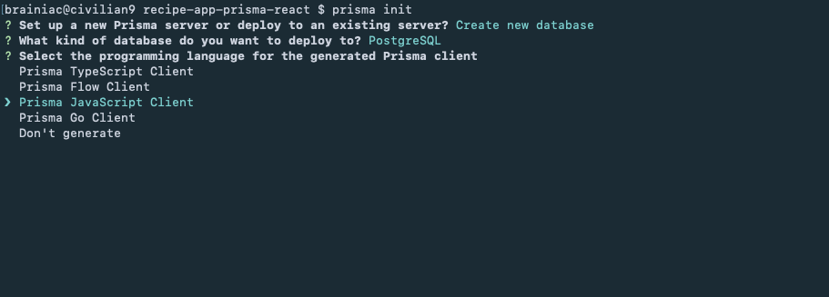 Prisma language prompt
