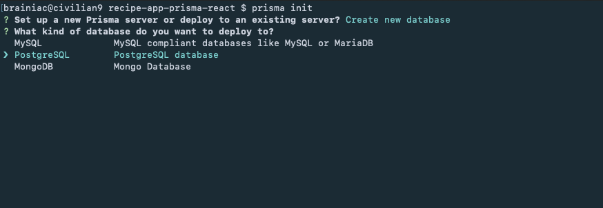 Prisma database prompt