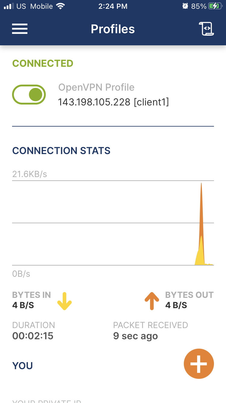 The OpenVPN iOS app connected to the VPN