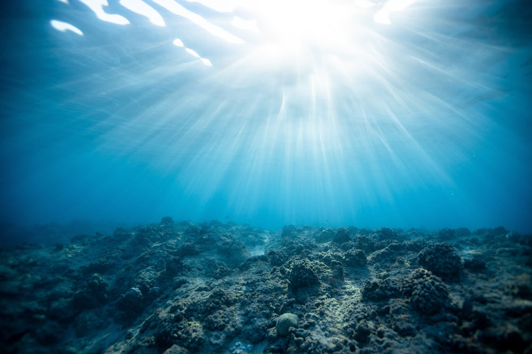 An image underwater with a ray of light coming into it