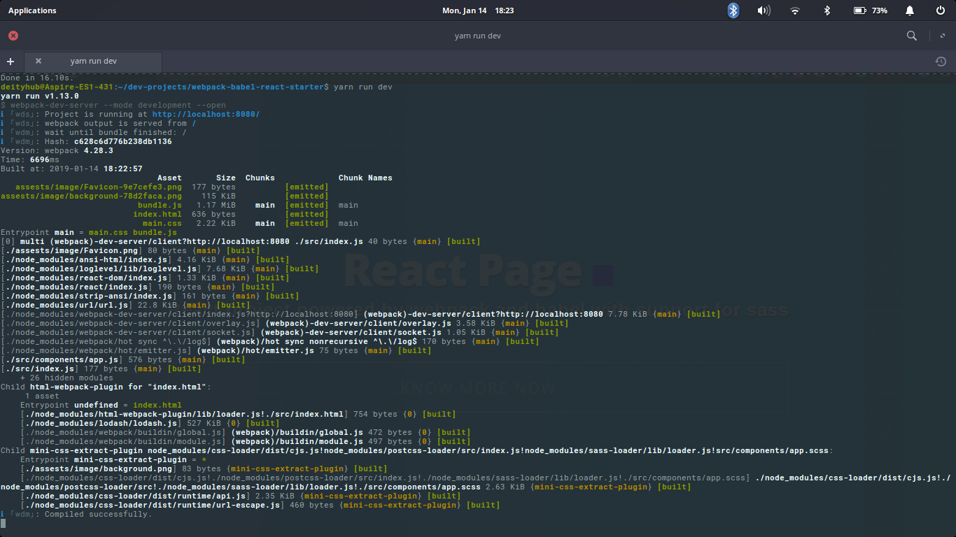 Testing the code with <code>yarn run dev</code>