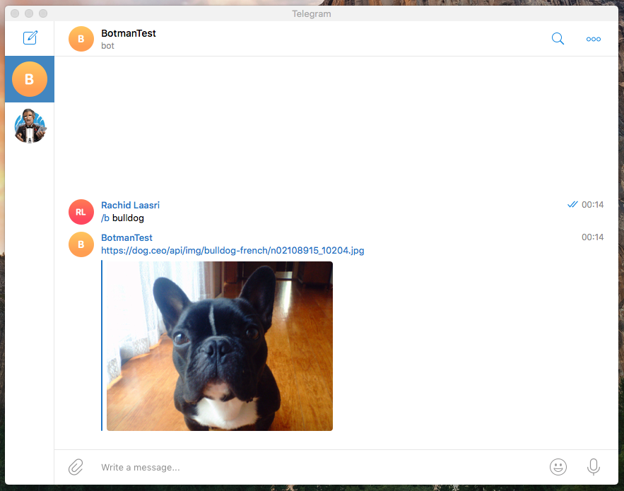 Send a random dog photo by its breed