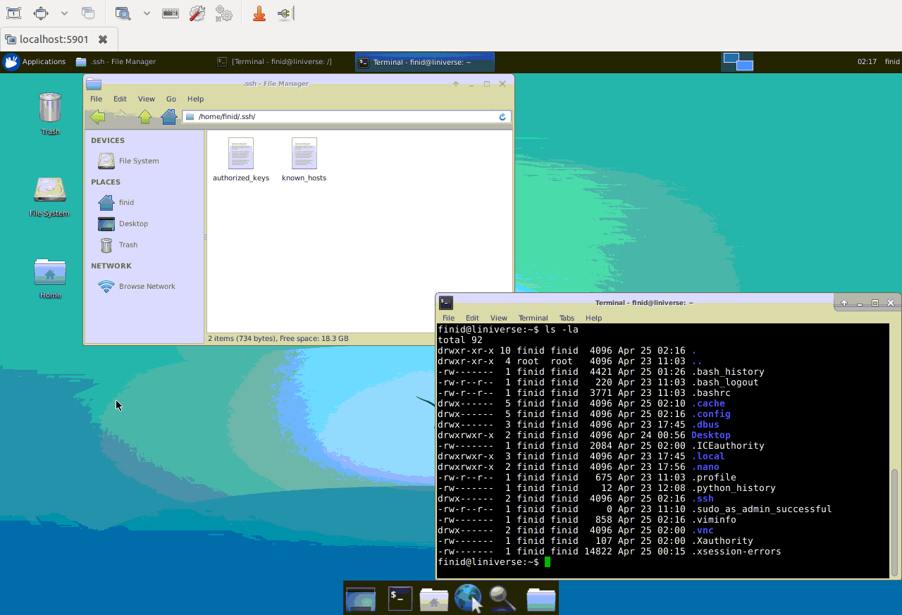 Files via VNC connection to Ubuntu 16.04