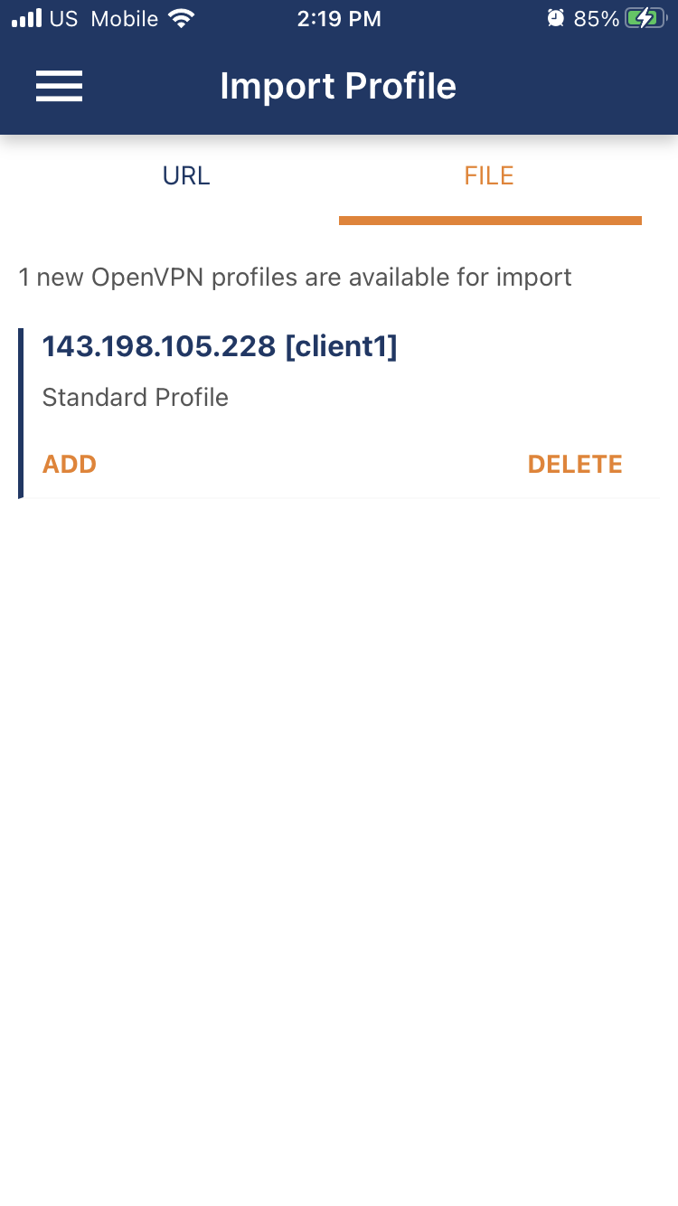 The OpenVPN iOS app showing new profile ready to import