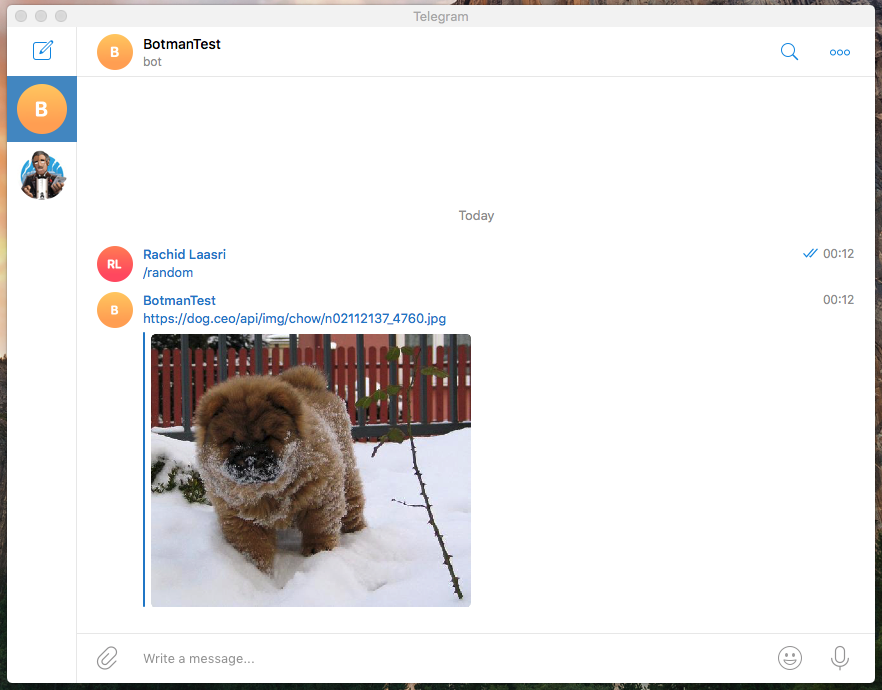 Send a random dog photo from all breeds