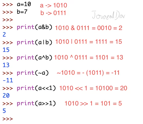 Python Bitwise Operators