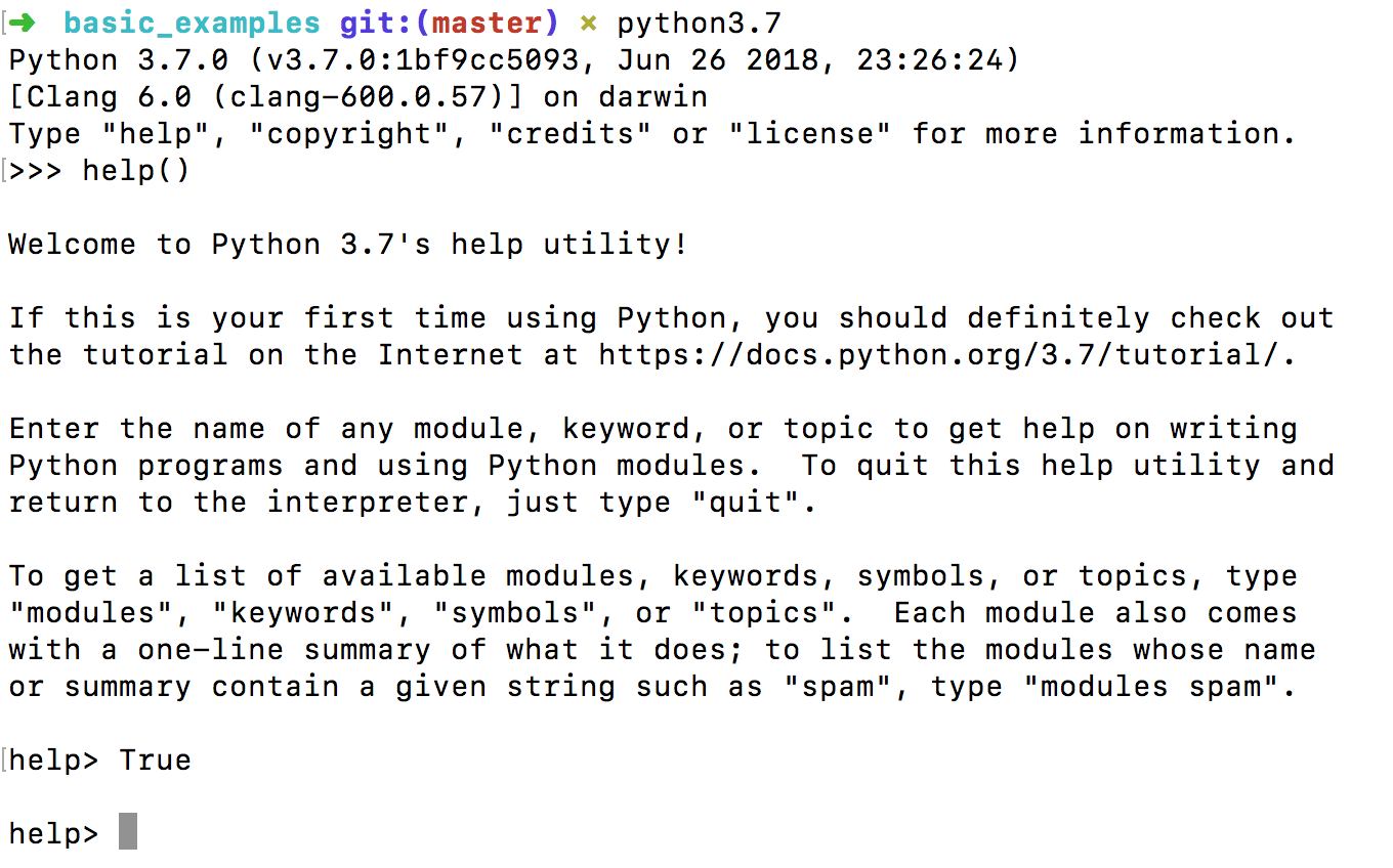 python help utility console