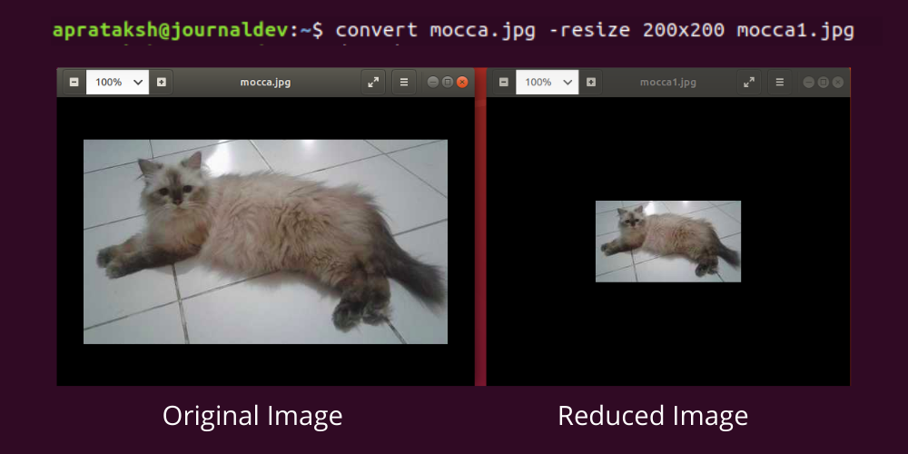 Reduce Image Size Resize Edited