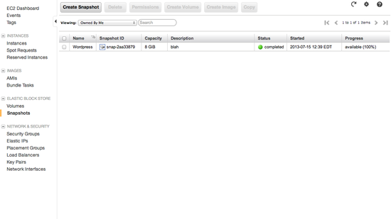 Amazon EC2 Snapshots page