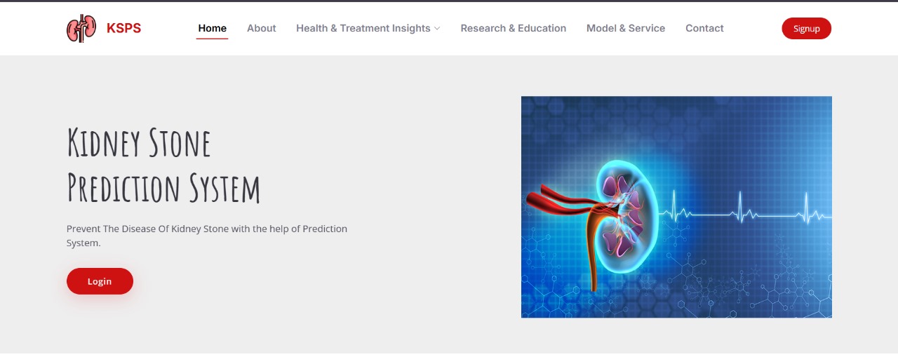 Kidney Stone Detection
