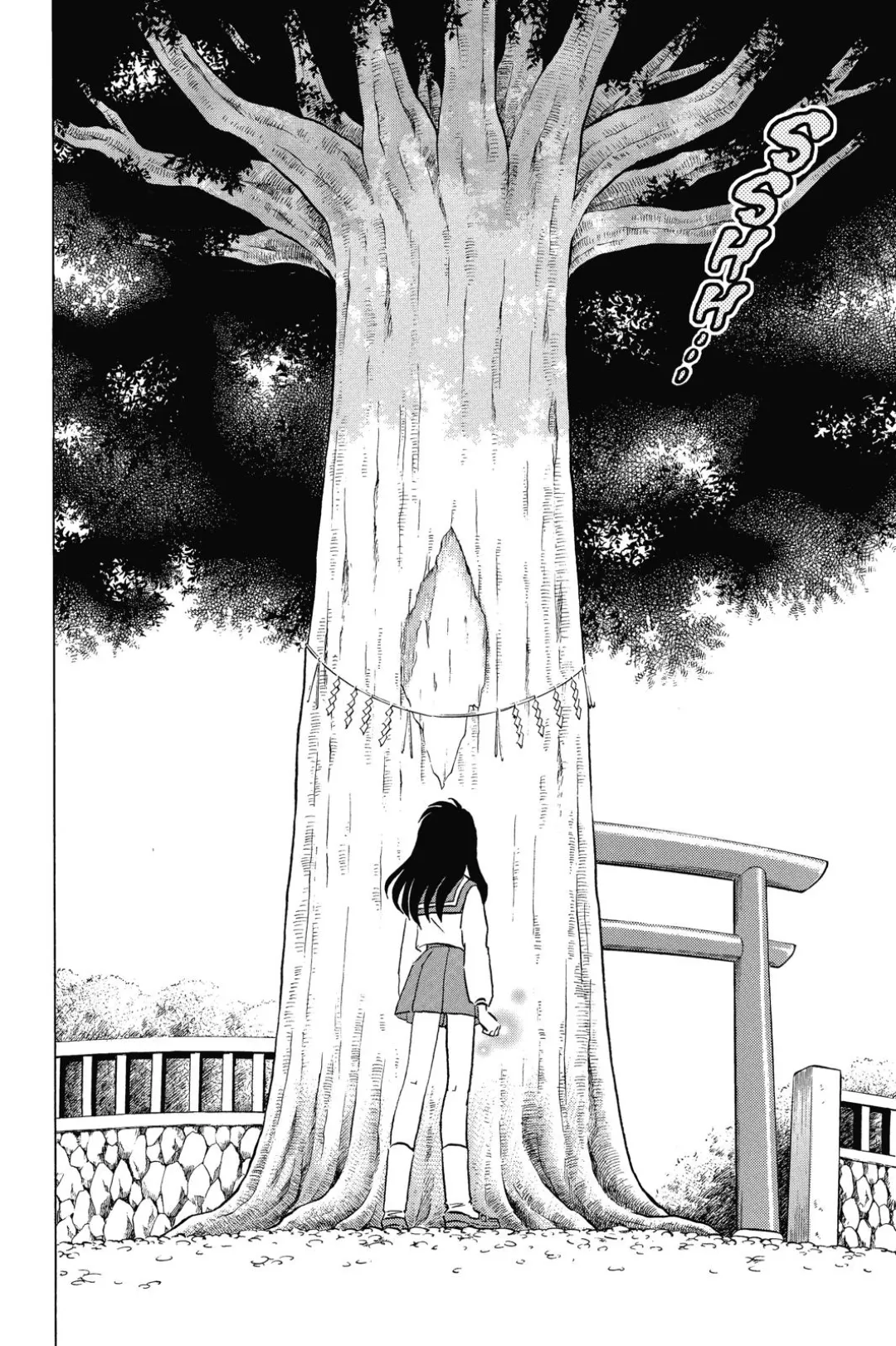 Inuyasha color chapter 175 page 14