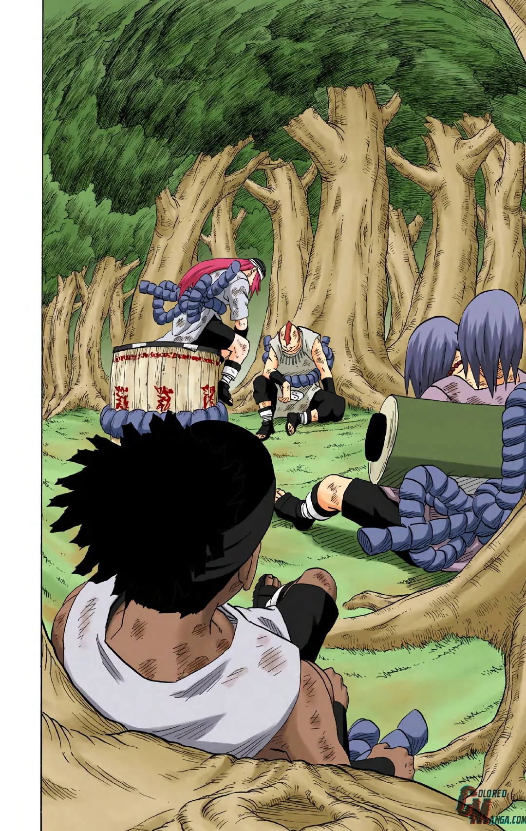 Naruto color volume 21 page 99