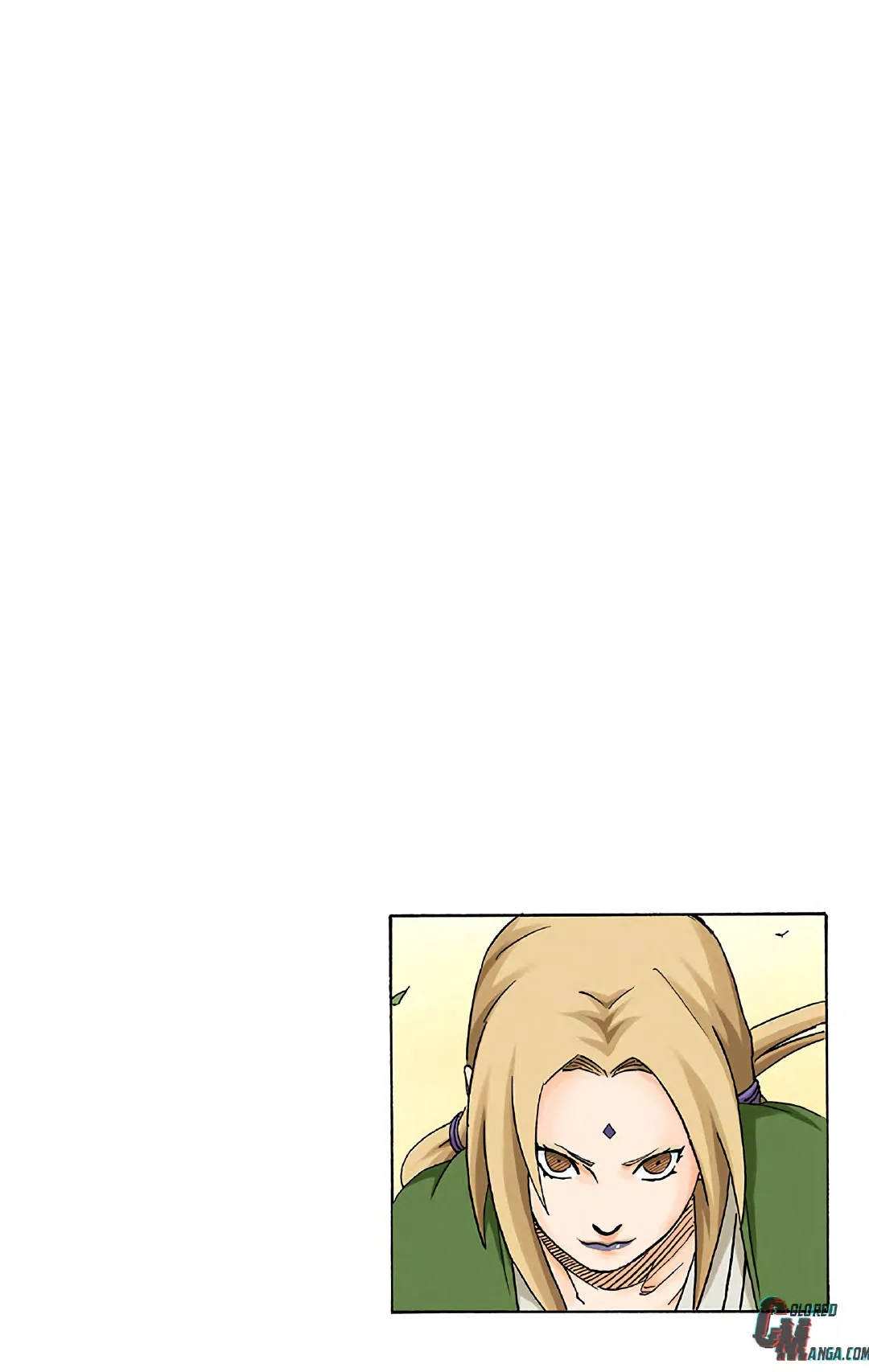 Naruto color volume 21 page 101