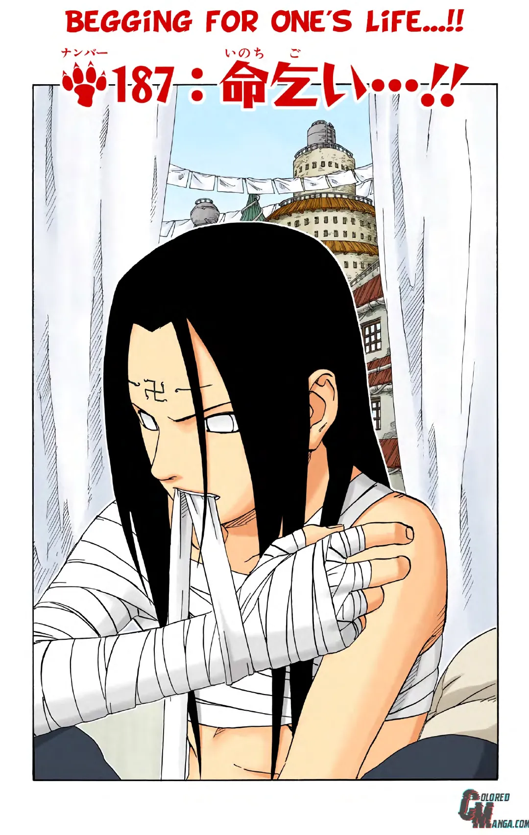 Naruto color volume 21 page 121