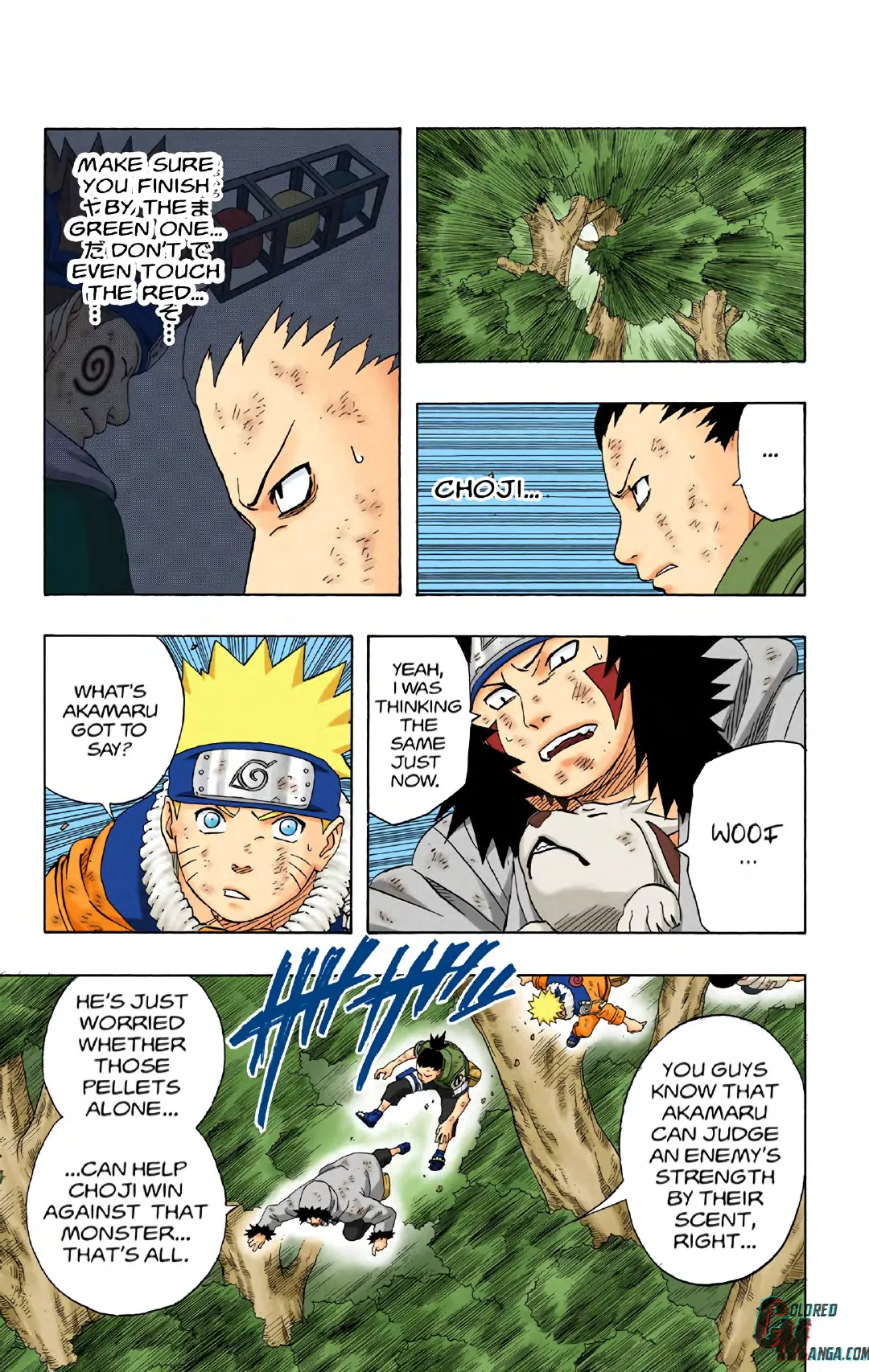 Naruto color volume 21 page 165