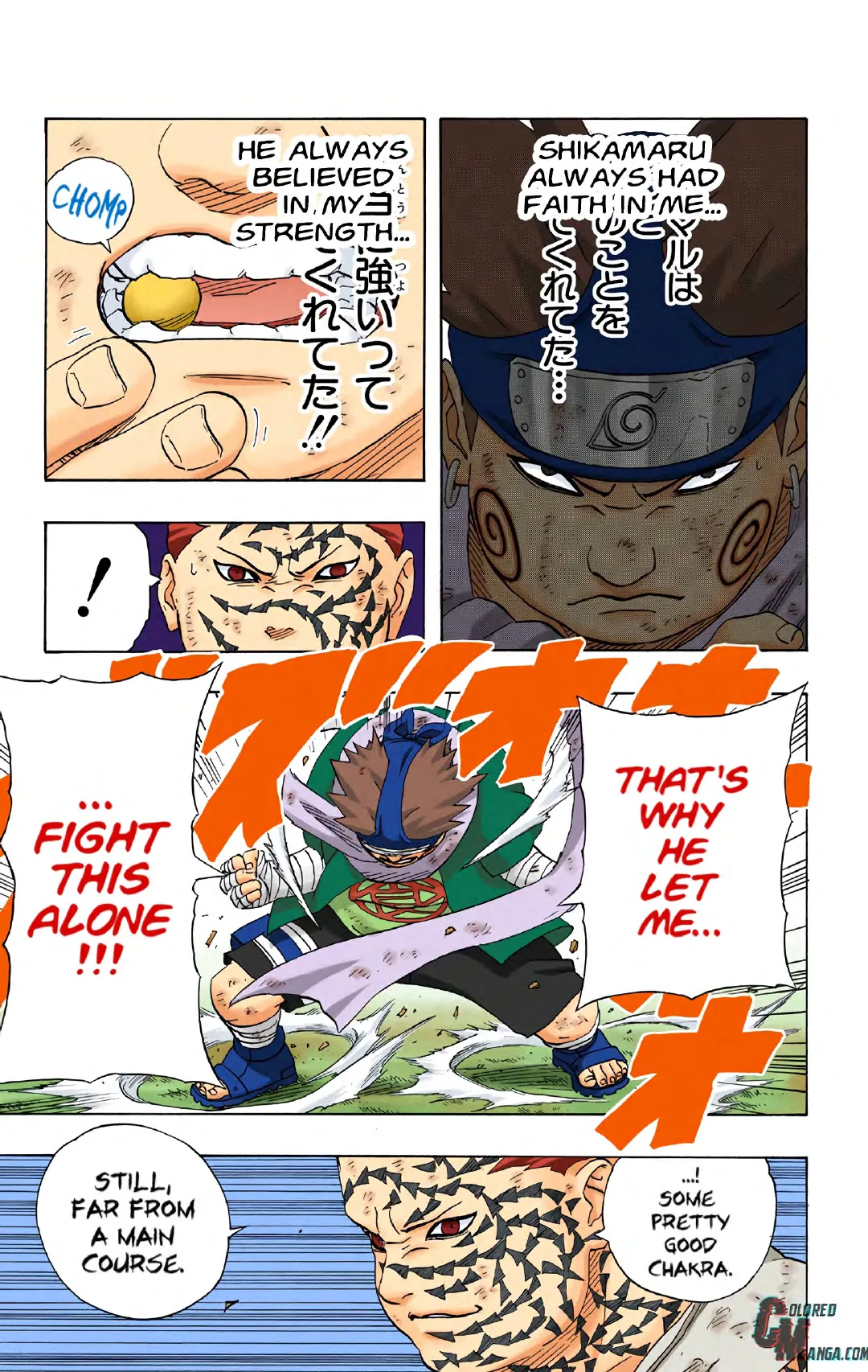 Naruto color volume 21 page 173