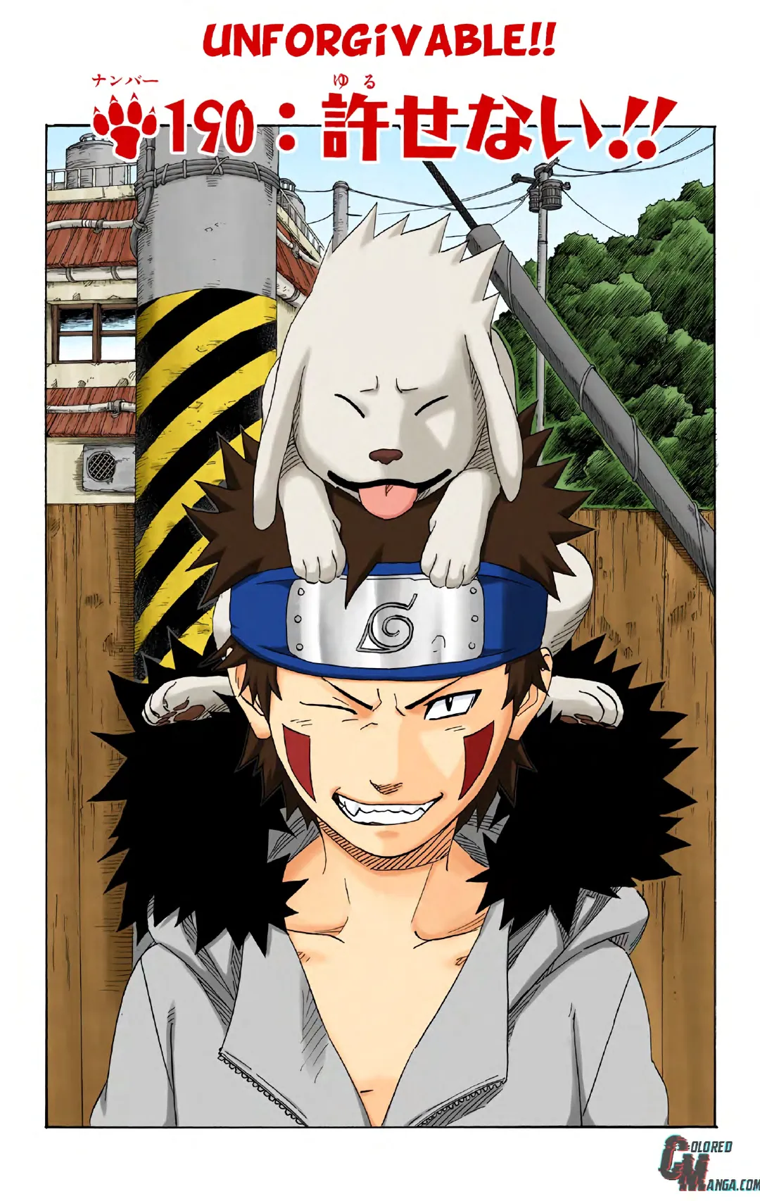 Naruto color volume 21 page 180