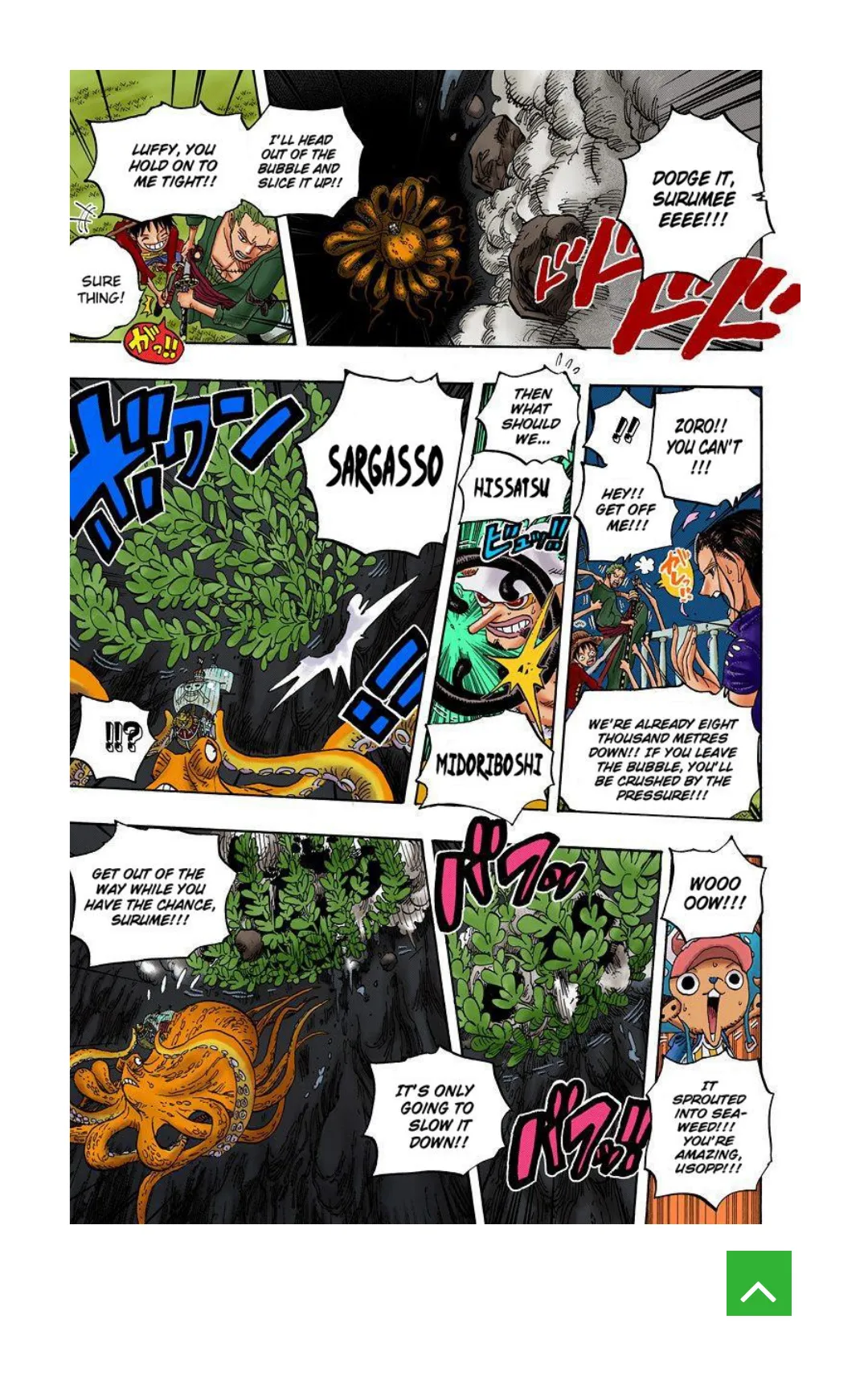 One Piece color Chapter 607 page 8