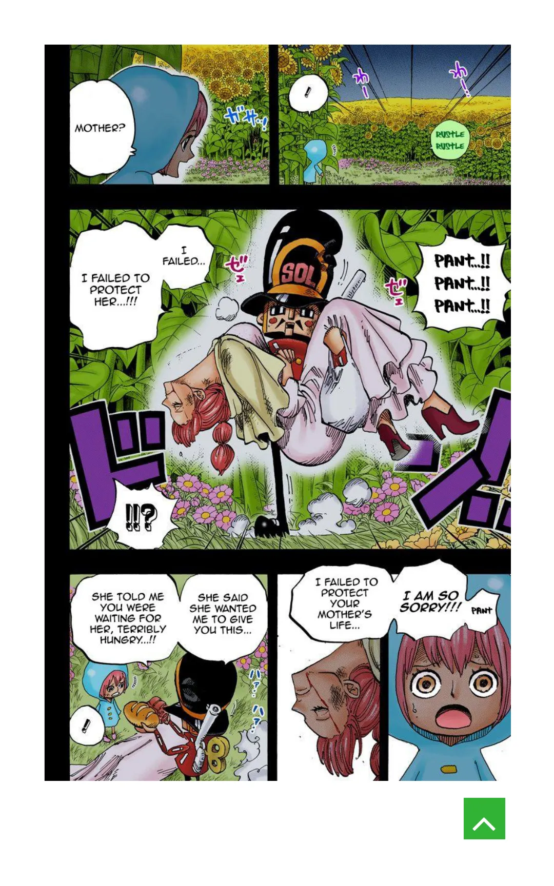One Piece color Chapter 721 page 9