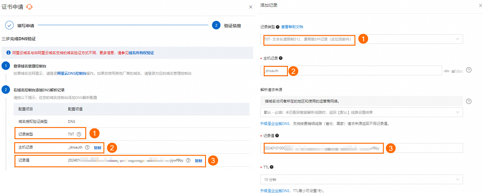 SSL 证书 - 手工 DNS 验证