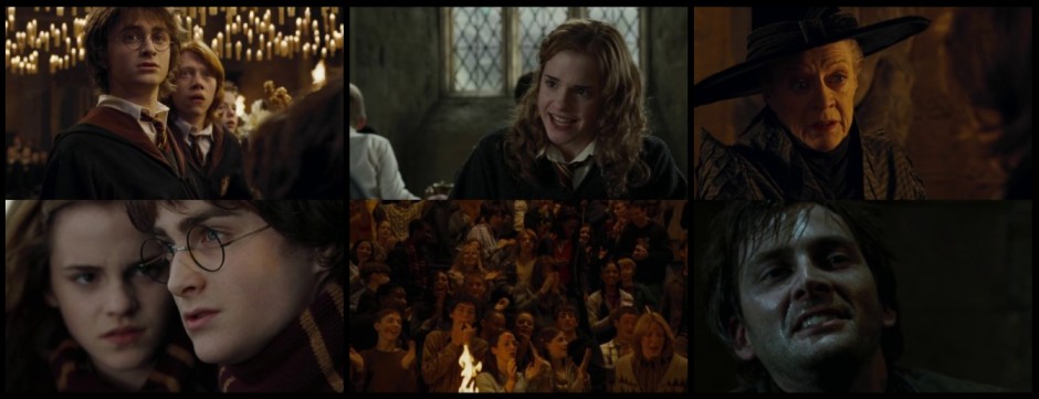 Download Harry Potter and the Goblet of Fire (2005) Dual Audio hindi and english  480p | 720p | 1080p | 2160p hdmoviehub screenshots