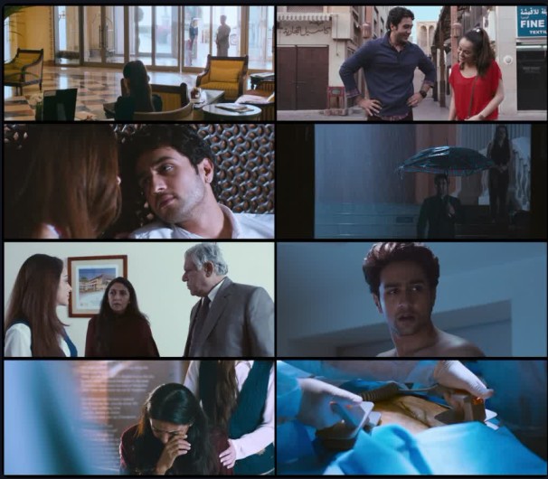 Download Heartless (2014) WEB-DL [Hindi (DD2.0)] 480p | 720p | 1080p [x264/ESubs] | hdmoviehub screenshots