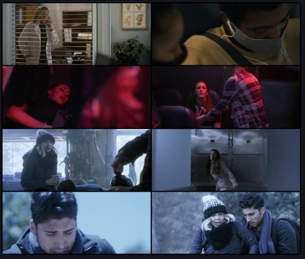 Download Apocalypse of Ice (2020) BluRay [Hindi ORG + English] 480p | 720p | 1080p [x264/ESubs] | hdmoviehub screenshots