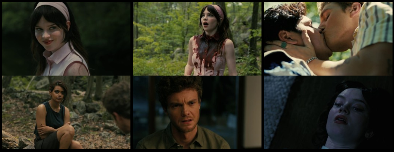 Download Companion (2025) WEB-DL [English DD5.1] 4K 1080p 720p & 480p [x264/10Bit-HEVC] | hdmoviehub screenshots