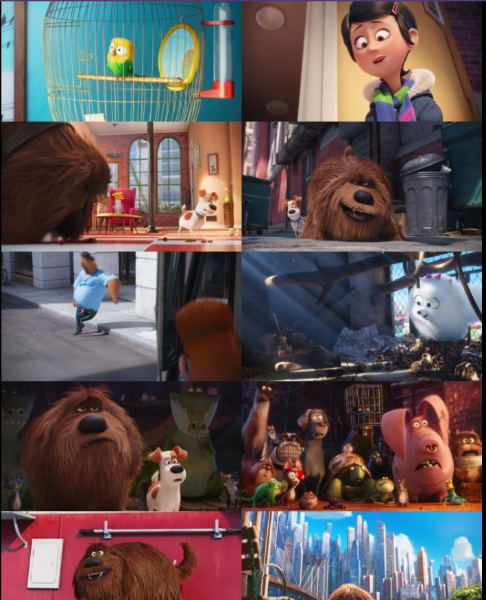 The Secret Life of Pets (2016) BluRay [Hindi (DD5.1) & English] 1080p 720p & 480p Dual Audio [x264] | Full Movie screenshots