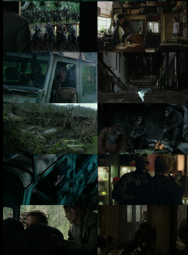 Dawn of the Planet of the Apes (2014) BluRay [Hindi (ORG 2.0) & English] 1080p 720p & 480p [x264] | Full Movie screenshots