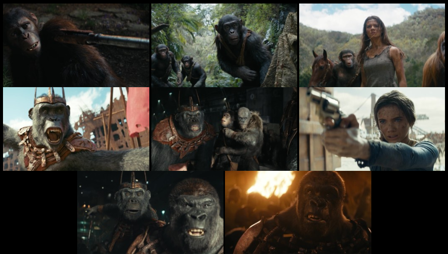 Kingdom of The Planet of The Apes (2024) WEB-DL [Hindi (DD5.1) & English] 4K 1080p 720p & 480p Dual Audio [x264/10Bit-HEVC] | Full Movie screenshots