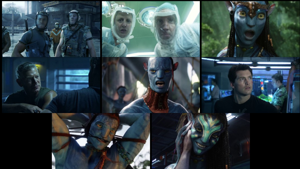 Avatar (2009) EXTENDED IMAX BluRay [Hindi (DD5.1) & English] 1080p 720p & 480p Dual Audio [x264/10Bit-HEVC] | Full Movie, screenshots