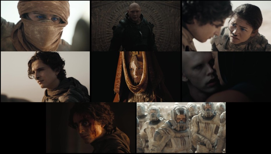 Dune: Part Two (2024) WEB-DL [Hindi (ORG 5.1) + English] 4K 1080p 720p & 480p Dual Audio [x264/10Bit-HEVC] | Full Movie screenshots