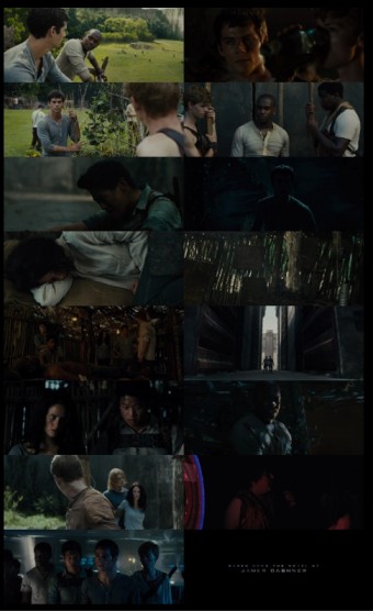 Download The Maze Runner 2014 full movie in hindi & english 1080p 720p & 480p Dual Audio [x264 | hdmoviehub screenshots