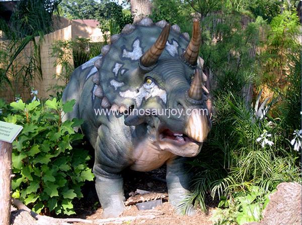 DWD083-Baby-Triceratops DWD083-Baby-Triceratops